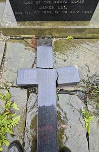 Lee cross in pieces