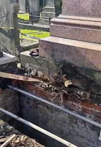 The tree root was exposed