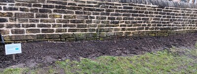 Wildlife hedge 2025