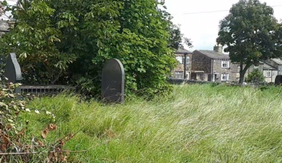 Huge tree in-between graves Aug 2020