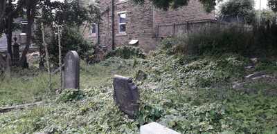 Tumbled down perimeter wall, bindweed and ivy 2021