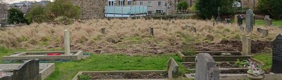 Lots of tufty grass to clear January 2024