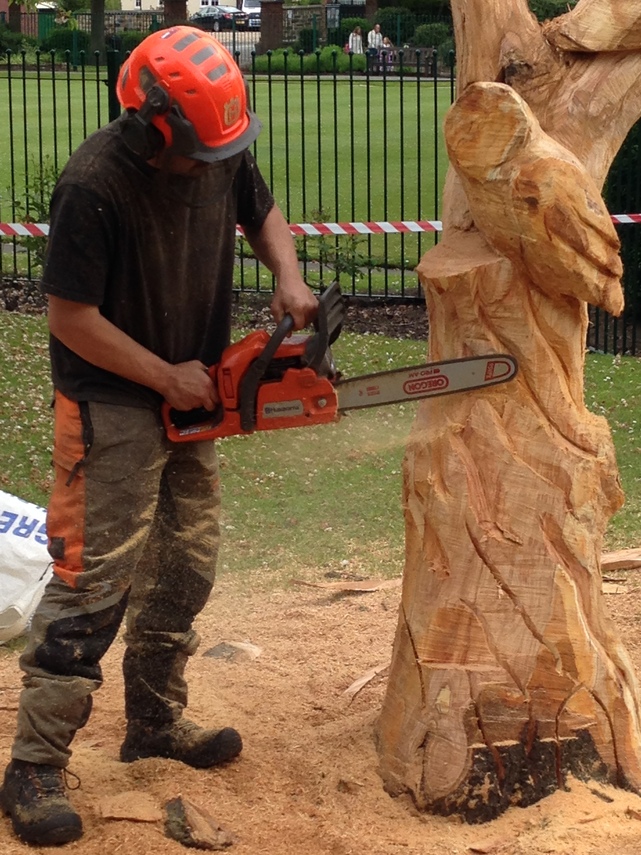 Tree Carving Owl 1