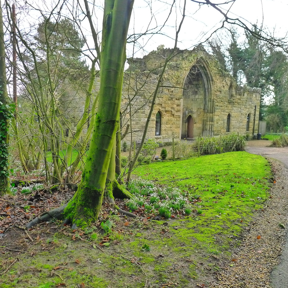 The rear of The Folly on Bridlington Street, Snowdrop in February