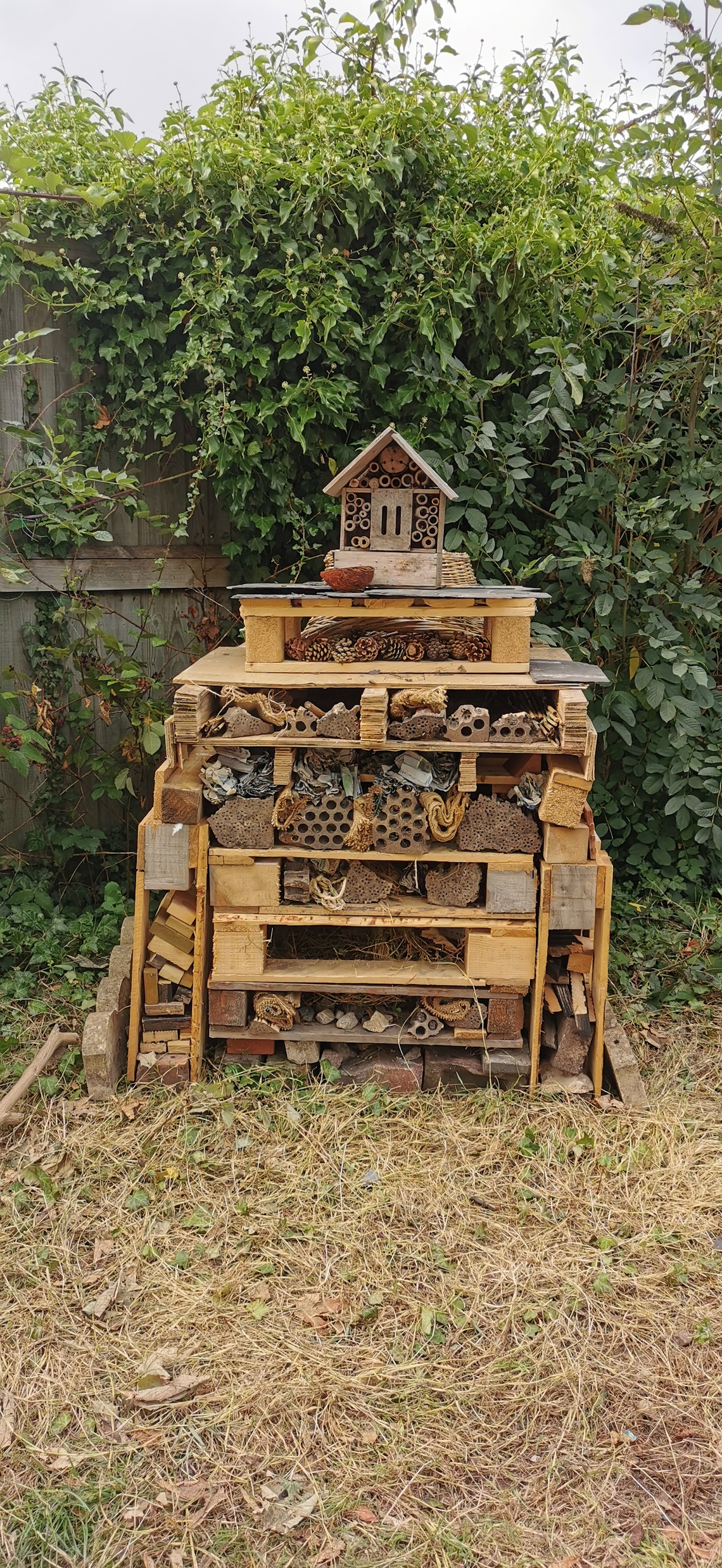 Beverley in Bloom, Bug Hotel, July 2021