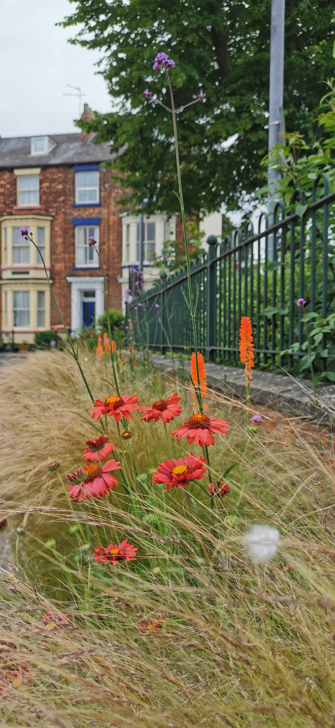 Beverley in Bloom July 2021