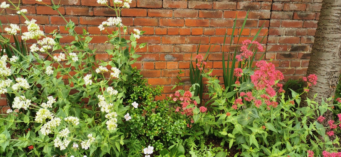 Beverley in Bloom Station 2