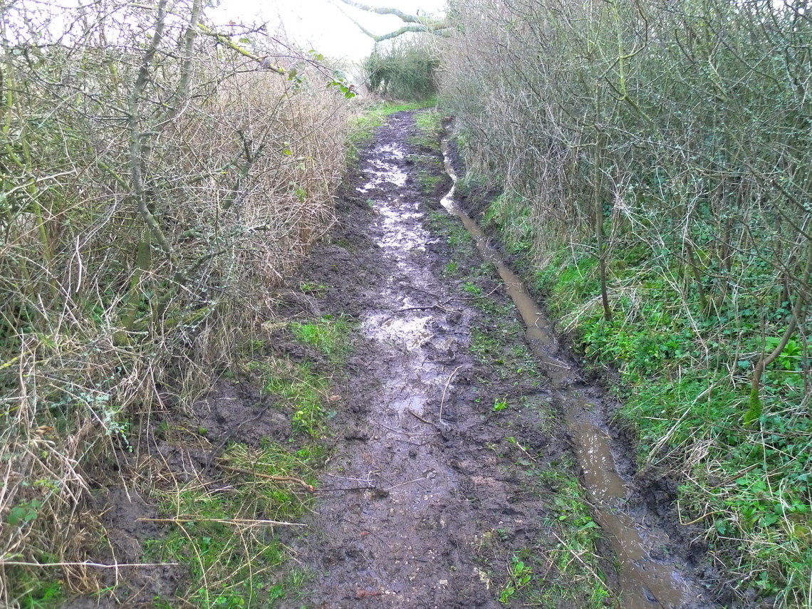 Outgaits Lane to Royal Oak footpath, can be muddy in winter