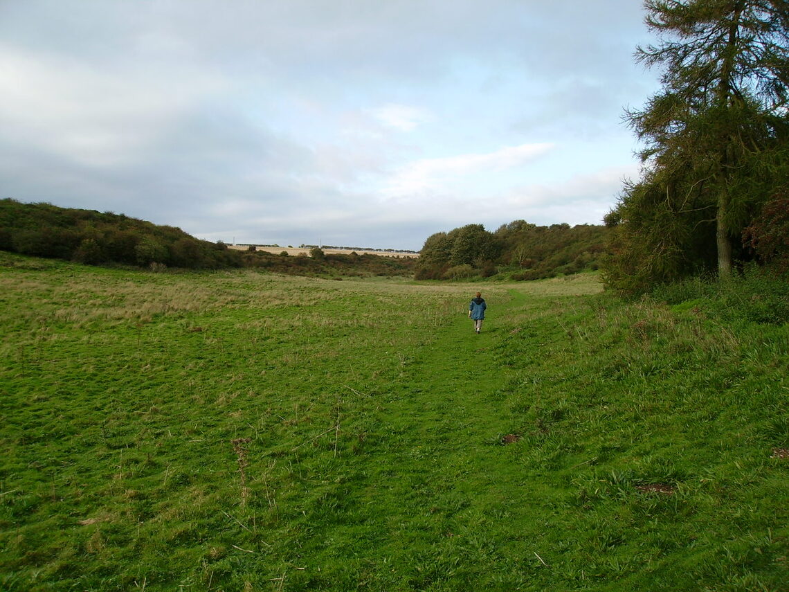 footpath, Stocking Dale on the Centenary Way, Hunmanby