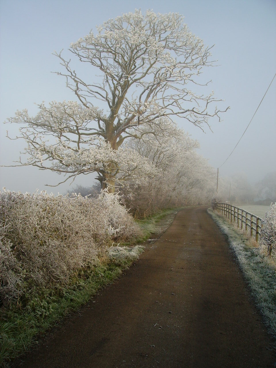 footpath towards Lowfield Farm, haw frost winter of 2006