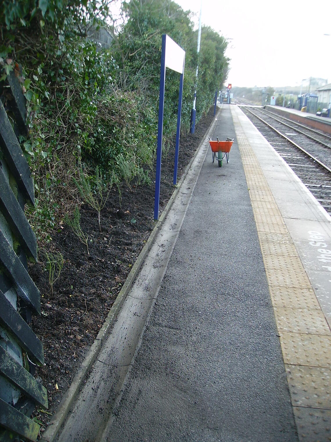 Creation of dead hedge at Hunmanby Railway Station platform 1