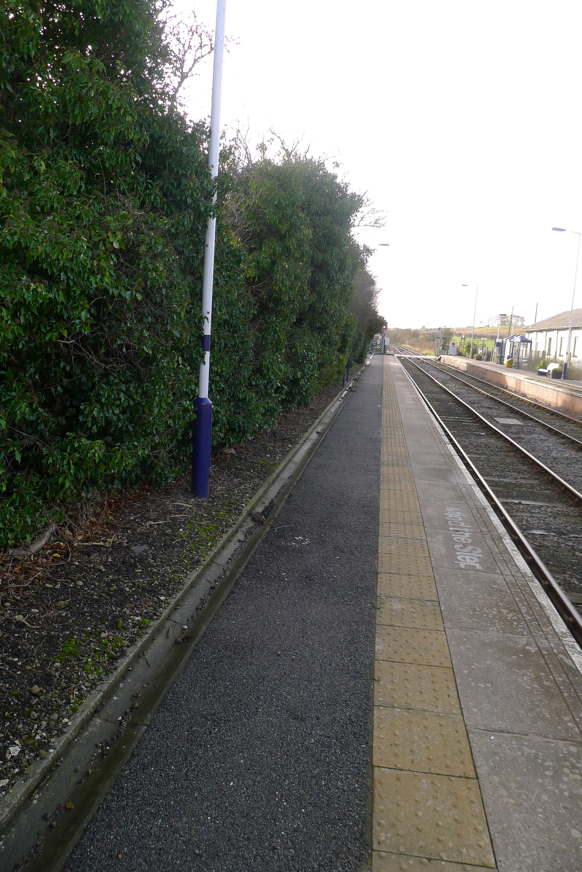 Hunmanby Station Platform 1 over grown hedge looking South