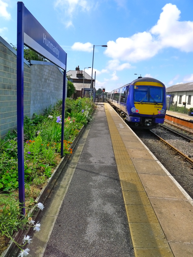 The New Long Border on Platform 1 at Hunmanby Railway Station Summer 2020