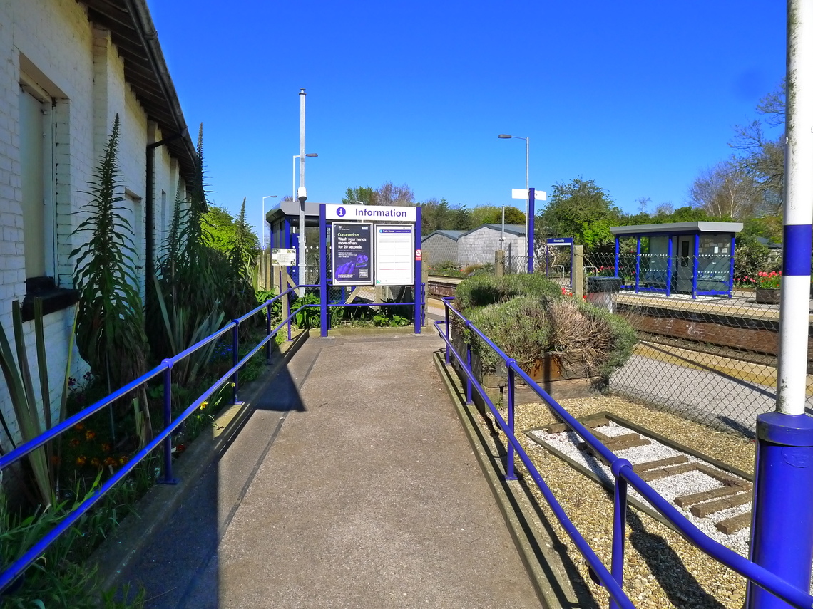 Echiums at the entrance to Hunmanby Station in April 2020