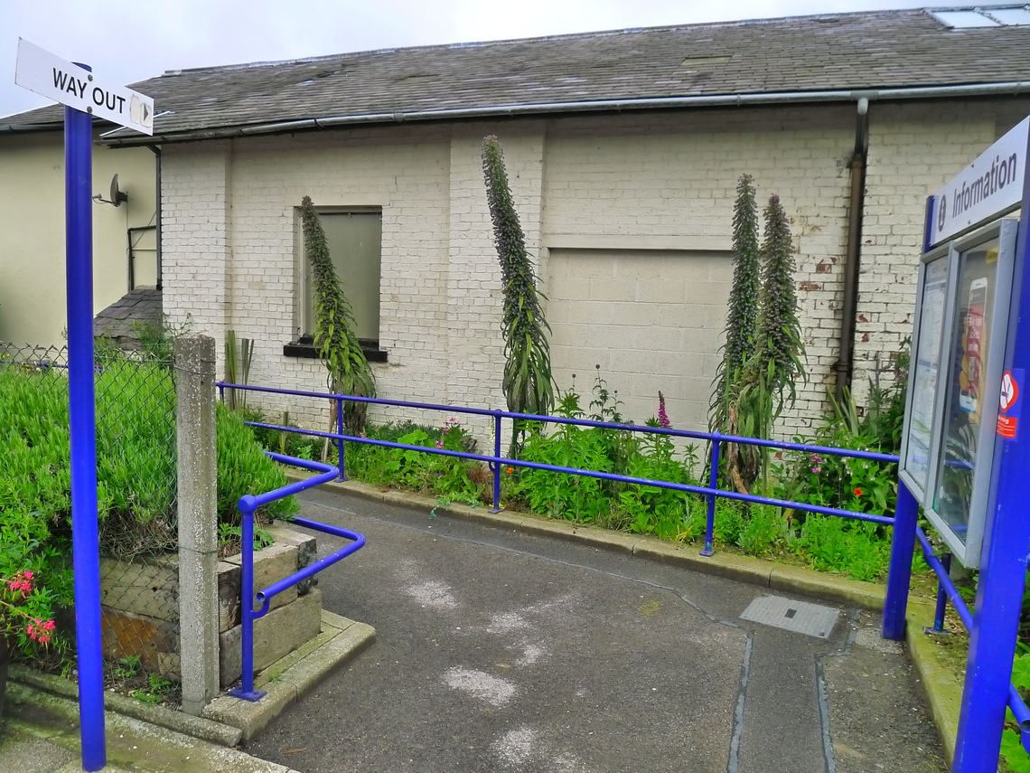 The huge echiums point the way out of platform 2 at Hunmanby Railway Station