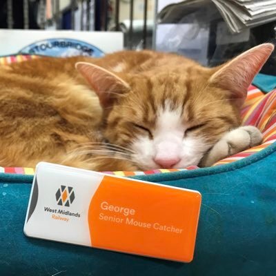 Stourbridge Junction railway station, George, Senior Mouse Catcher