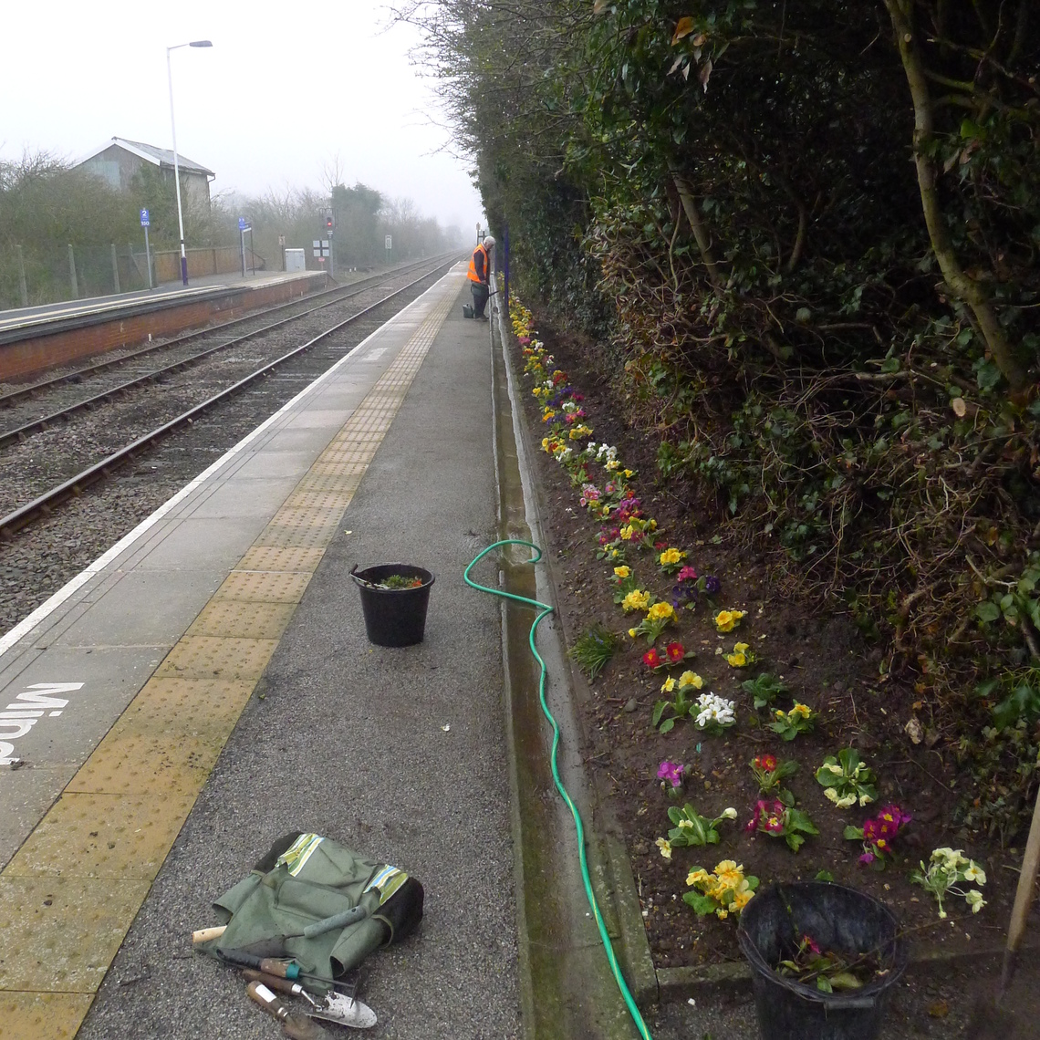 Instant flower display thanks to Reighton Nursery in the new long border