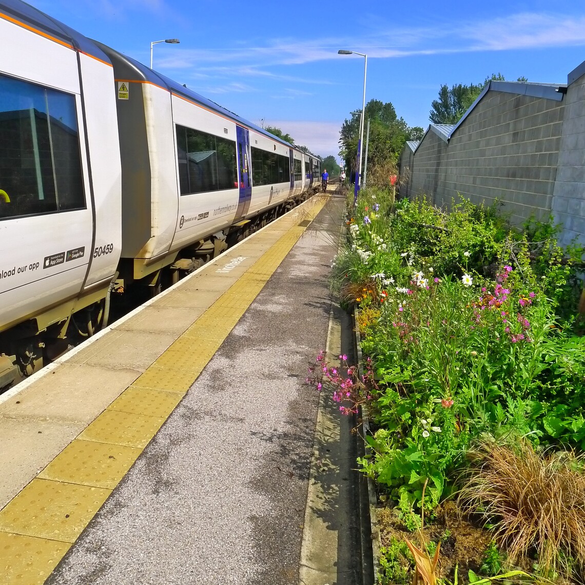 Platform 1 looking towards Scarborough Summer 2020