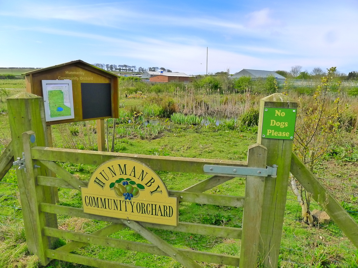 The 2nd  Community Orchard at Hunmanby Allotments