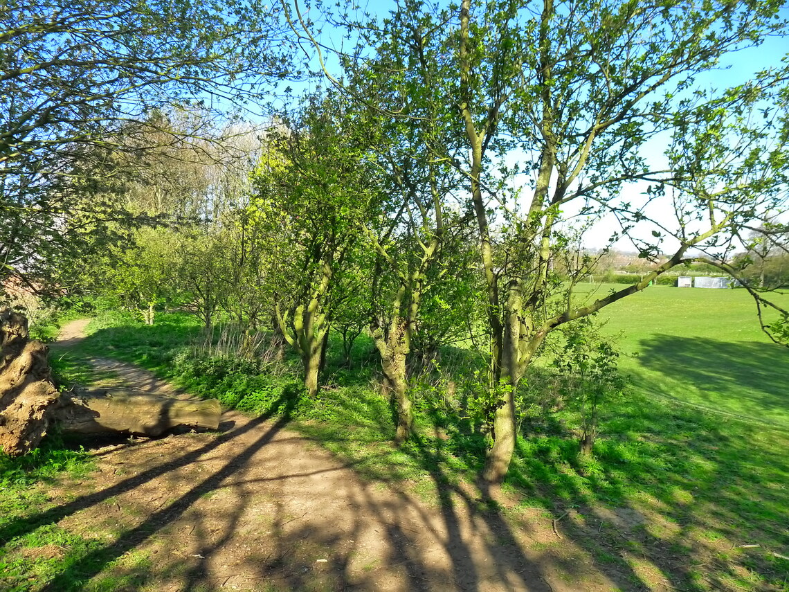 Woodland Walk through to Hunmanby Allotments, Sands Lane
