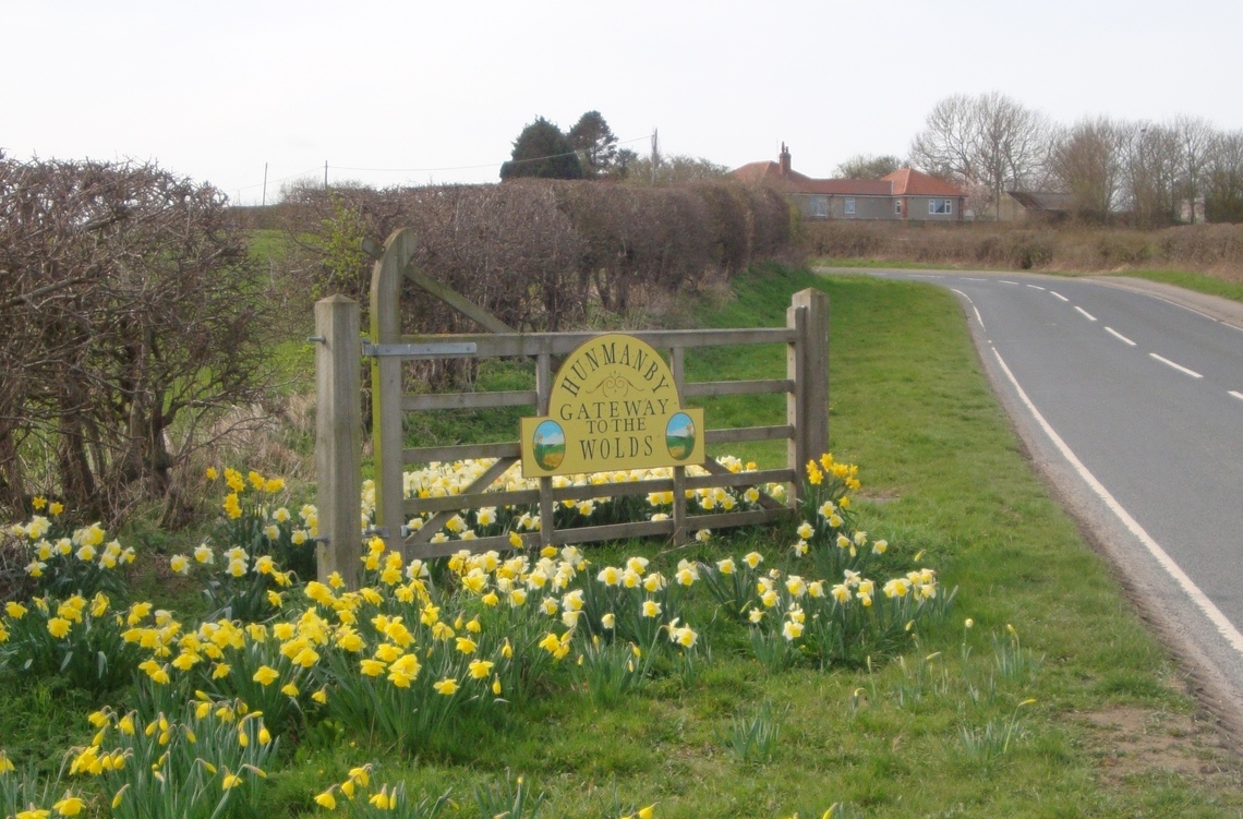 Hunmanby, Gateway to the Wolds, Early Spring Flowers