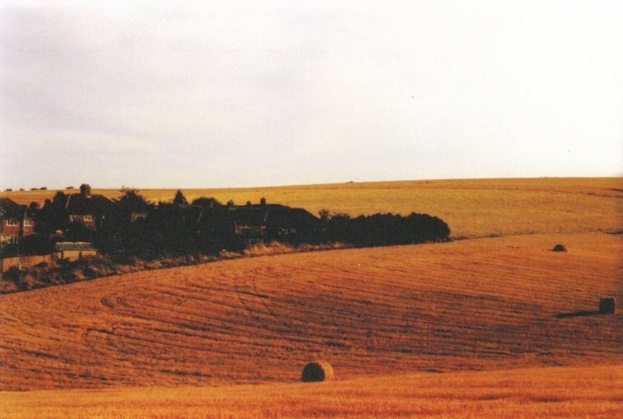 Brian Back Harvest 1