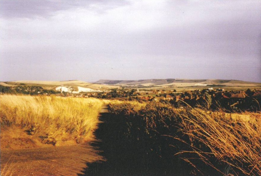 Brian Beck Harvest 4