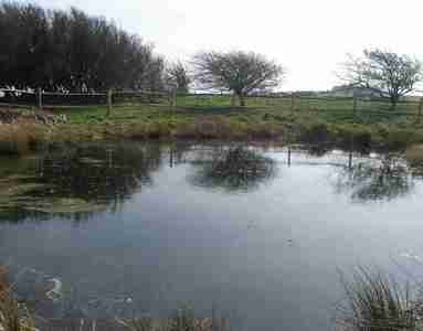 Jill's Pond