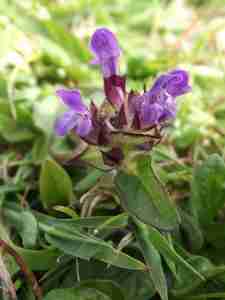 Self-heal