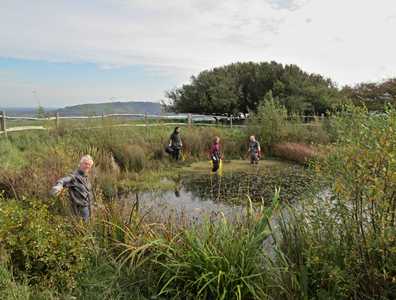 Clearing JiIll's Pond