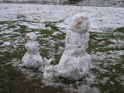 Snow figures