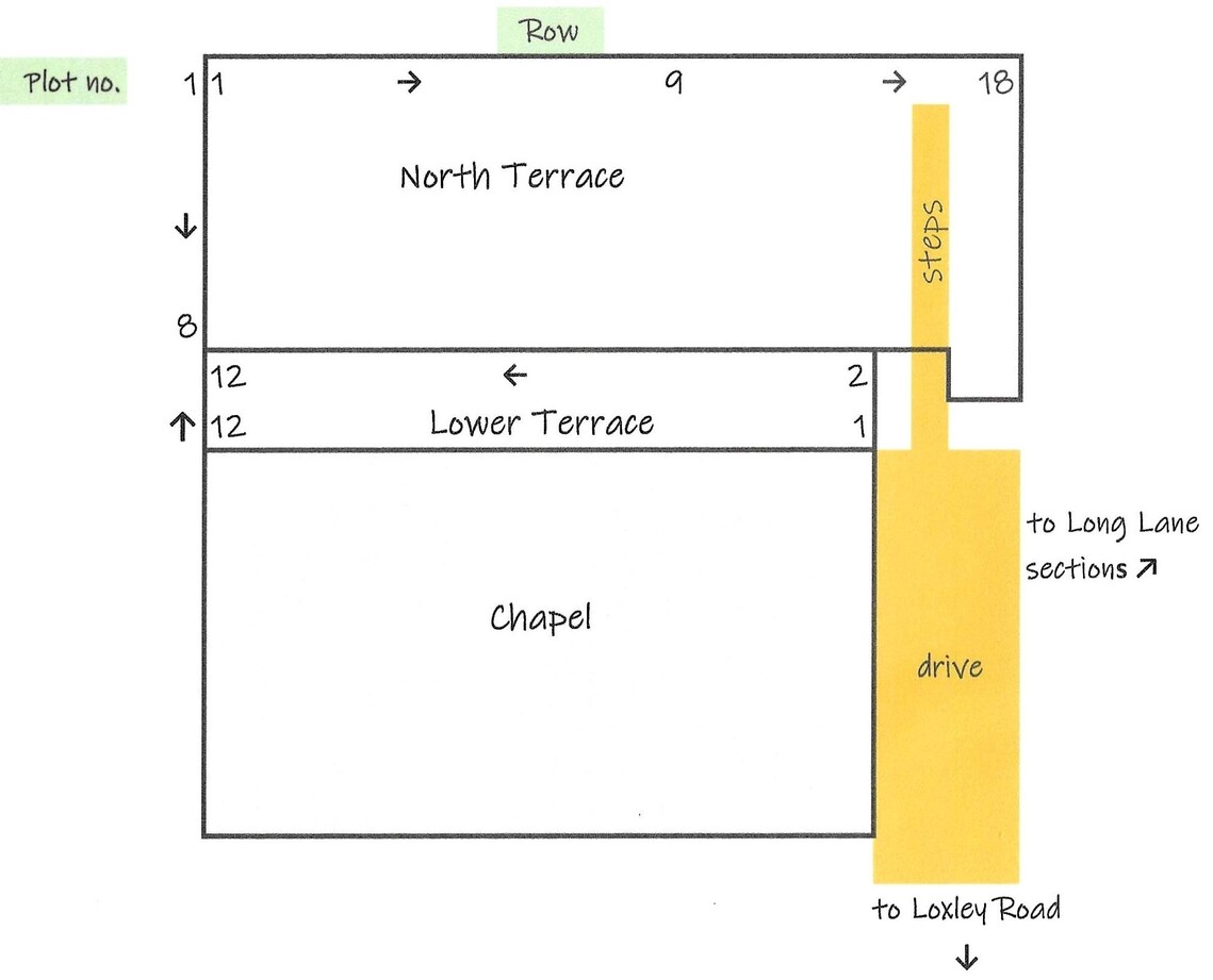 CNT &amp; CLT outlines