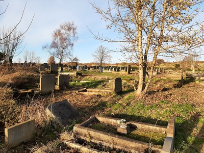 Winter sunshine in the cemetery