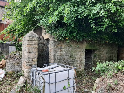 We found the old privies under the ivy