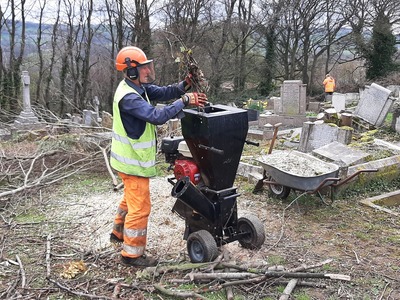 Chipping the wood pile