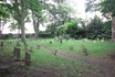 view of pet cemetery