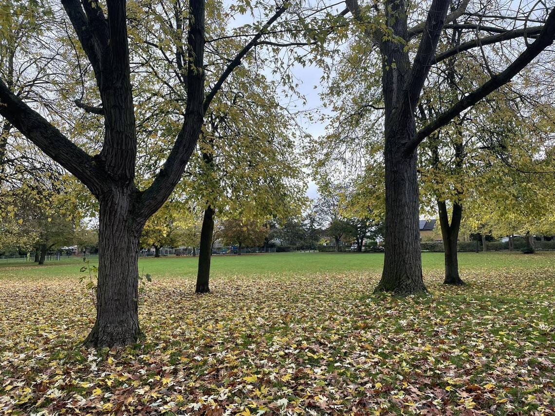 Autumn in Nursery Green