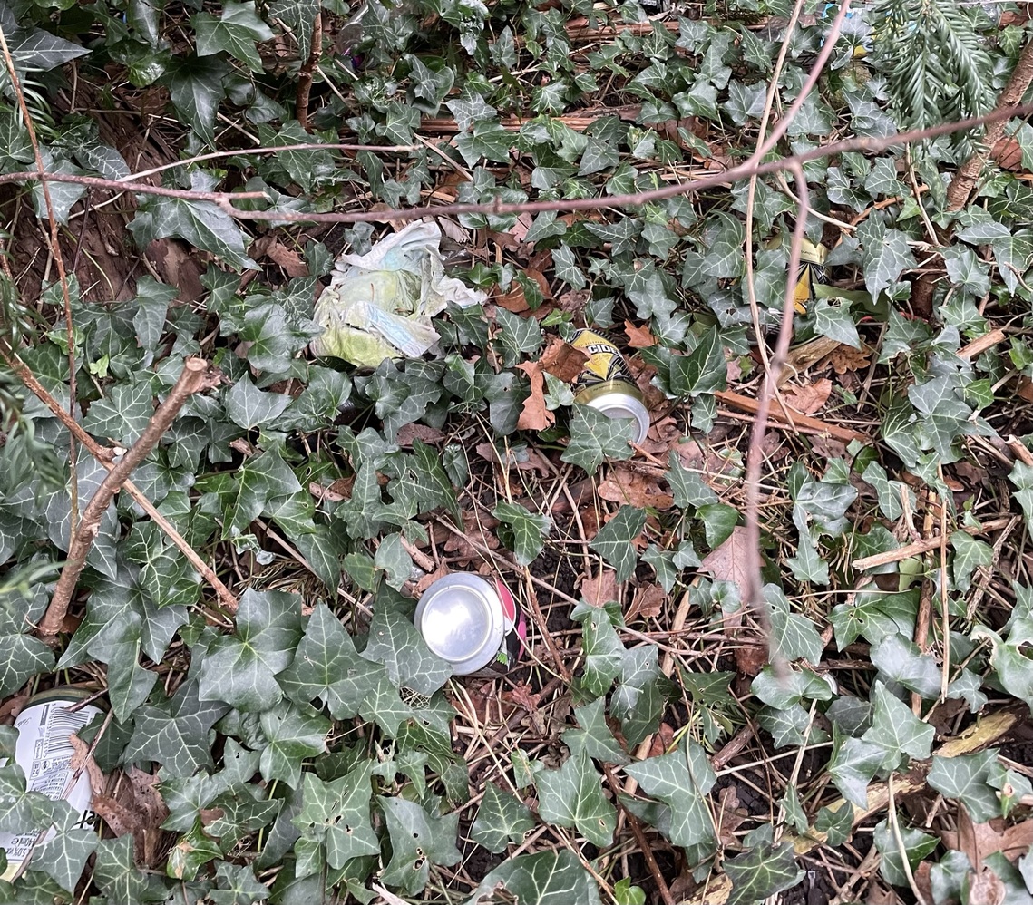 Rubbish in Nursery Green