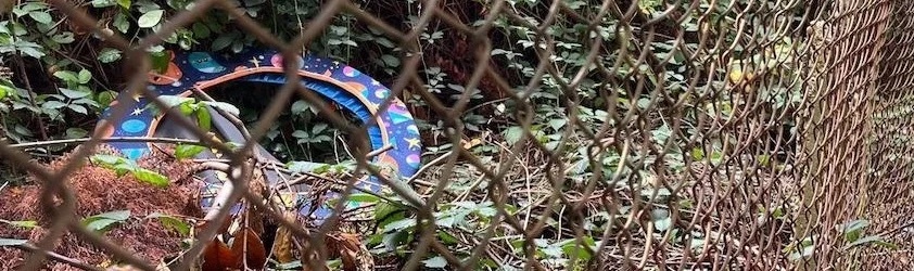 Image of litter