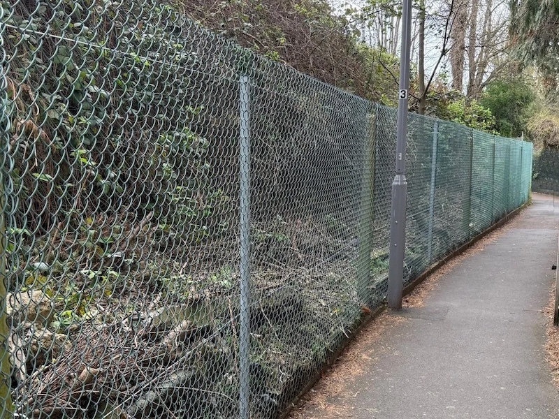 New Fence