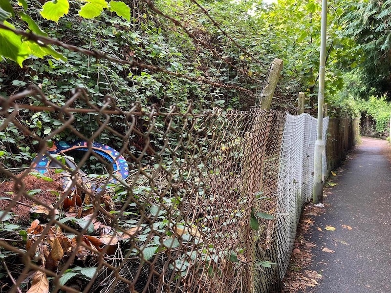 Old Fence