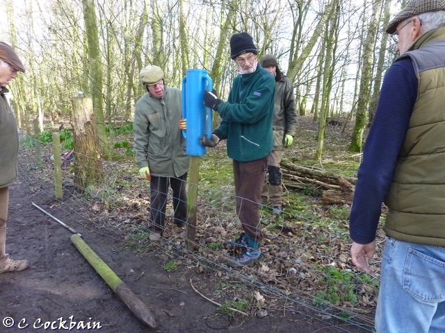 Friends project morning building fences
