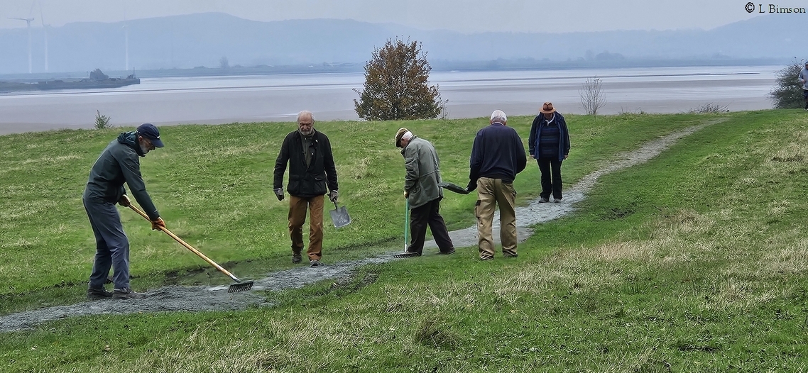 Pickerings Pasture grano path laying  01112024