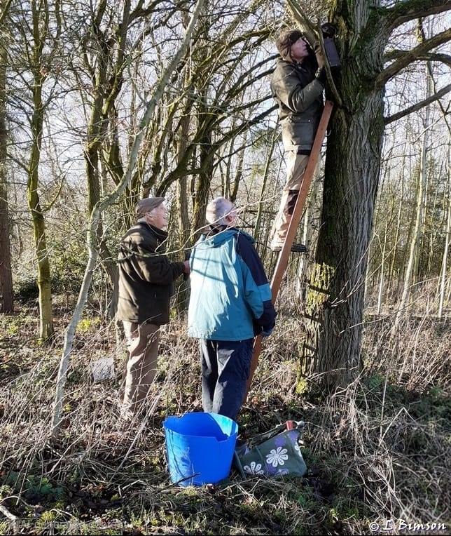 Putting up nestboxes 16 Jan 2023