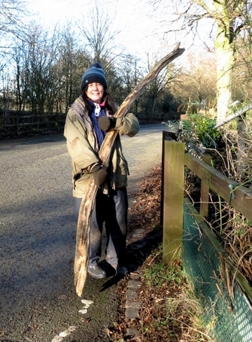 Recycling drift wood to use in nature  garden
