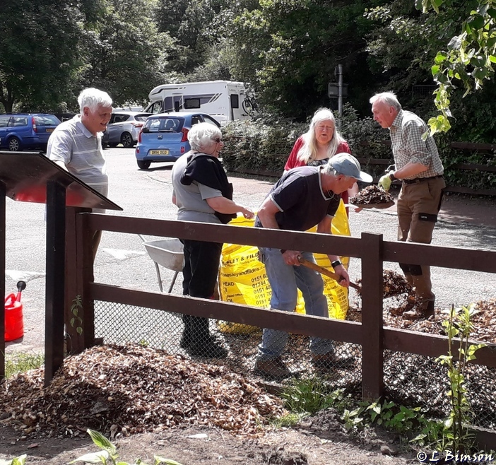 Shovelling wood chip for paths