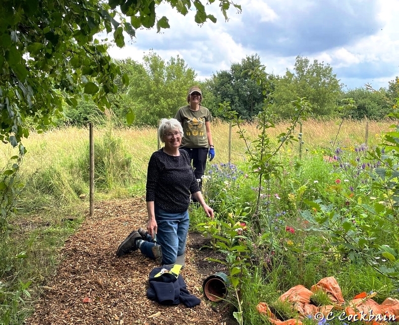 Weeding Lynda's garden - Julie & Laura 