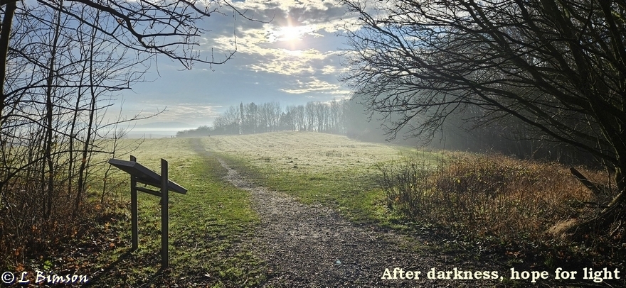 Winter Pickerings Pasture LNR  25th December 2024