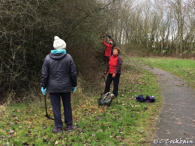 Work party pruning hedges and overhanging branches
