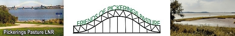The Friends of Pickerings Pasture LNR logo